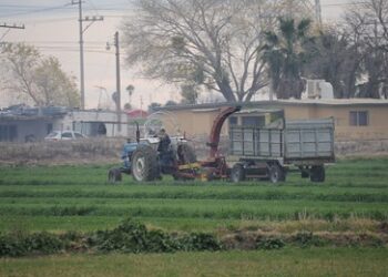 Invita UACH al XXXVII Congreso Internacional en Administración de Empresas Agropecuarias