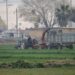 Invita UACH al XXXVII Congreso Internacional en Administración de Empresas Agropecuarias