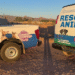 Investigan área donde hallaron a perros bañados en chapopote