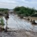 Reacondicionamiento del puente que permite el acceso a las comunidades de El Mesquite y La Colmena