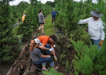 Inundaciones en Texas dañaron cultivos y pusieron en riesgo al ganado