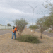 Se trabaja de manera permanente en la limpieza en diferentes calles