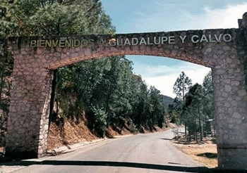 Casi 300 muertes en Guadalupe y Calvo desde 2020