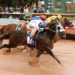 Ariatt, el más veloz en las pruebas para el Rainbow Derby