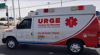 Enjambre de abejas ataca a dos niñas y su madre en Camargo
