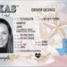 Entró en vigor el nuevo diseño de las licencias de conducir y Real ID de Texas: ¿son válidas las anteriores?