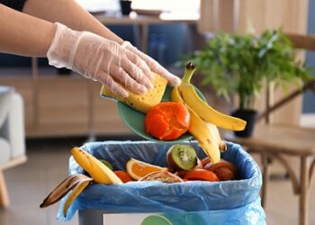 Van la UACH y Cáritas contra el desperdicio de alimentos
