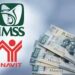 Infonavit entrega dinero a pensionados y jubilados del IMSS: cómo aplicar