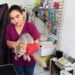 Rescata Ecología de Meoqui a Zorro Gris