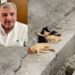 En Ojinaga también crece el maltrato animal: Dr. Ubaldo Elías Páez.