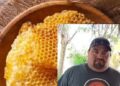 Miel en penca: el superalimento de las abejas que fortalece tu salud: Fidel Flores