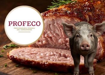 Beneficios de la carne de puerco y cuánta es saludable comer, según Profeco