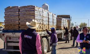 Benefician Gobierno de Meoqui y COESVI a 92 familias con cemento subsidiado