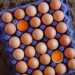 Ni fritos ni revueltos: la forma correcta de cocinar los huevos y aprovechar todos sus nutrientes