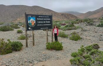 Estudiante de la UACH explora la diversidad ambiental en Chile