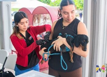 Invita Gobierno Municipal de Meoqui a jornada de vacunación antirrábica este sábado 18 de abril