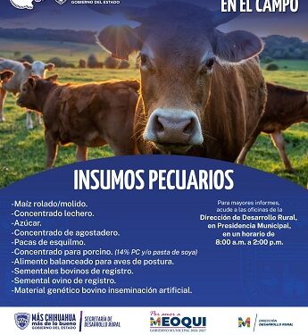 Continúa en Meoqui recepción de documentos para el programa “Cuenta Conmigo en el Campo”