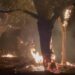 Así captaron fuerte incendio en el bosque de Aldama