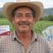 Calendario de pagos Producción para el Bienestar. fechas de DEPÓSITO para agricultores: recibirán hasta 24 mil pesos