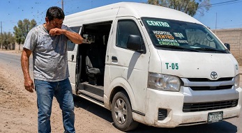 Atacaron abejas africanas a conductor en Tabasco