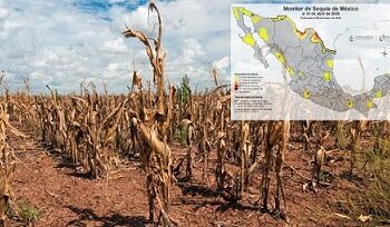 Creció área seca en el estado; bajó intensidad de sequía