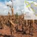 Creció área seca en el estado; bajó intensidad de sequía