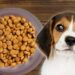 Retiran de forma urgente famosa marca de comida para perros; advierten riesgo mortal para mascotas