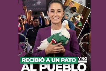 La Columna Hipótesis de Acento Noticias