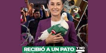 La Columna Hipótesis de Acento Noticias