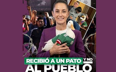 La Columna Hipótesis de Acento Noticias
