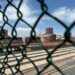 Cantidades asombrosas de fentanilo llegaron a las calles mientras la DEA observaba y no tomaba medidas