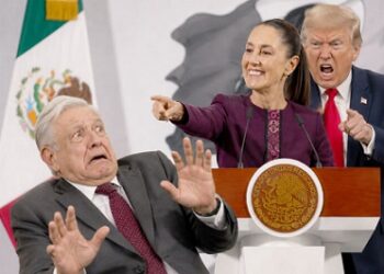 La Columna Hipótesis de Acento Noticias