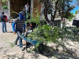 Recibe Camargo 10 mil árboles para impulsar acciones de reforestación en la región