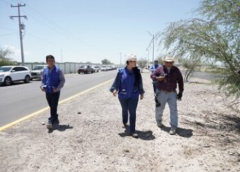 Se continua con el mantenimiento de camellones y avenidas: Alcaldesa Lucy Marrufo