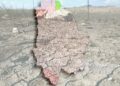 Libró Juárez la sequía; empeoró en cuatro municipios