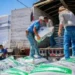 Entregan en Meoqui 100 toneladas de maíz rolado y concentrado lechero a productores