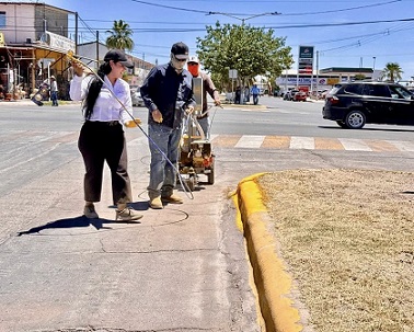 Encabeza la alcaldesa Lucy Marrufo repintado y mantenimiento en camellones.