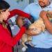Cuenta Meoqui con campaña permanente de vacunación antirrábica y desparasitación sin costo
