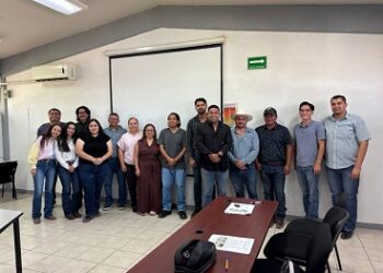 Desarrolla FCAyF de la UACH tecnología innovadora para combatir la pudrición rosa en cebolla.
