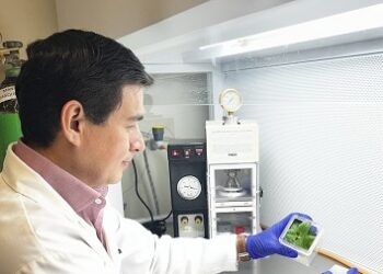 Desarrolla FCQ-UACH investigación de biotecnología aplicada a la agricultura.