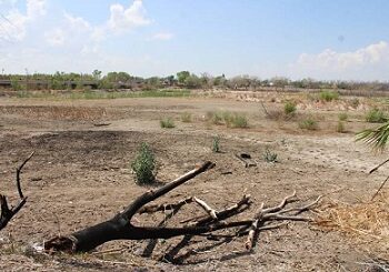 Pérez Pavía exige acciones urgentes para rescatar el Humedal Río San Pedro-Meoqui