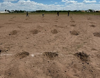 FCAyF-UACH establece parcela experimental para definir la densidad óptima de plantación de sotol.