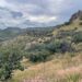 Estudio doctoral de la FZ y E-UACH analiza los efectos del cambio climático en la vegetación de Chihuahua.