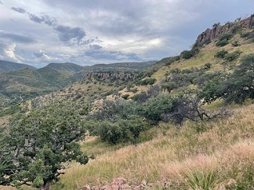 Estudio doctoral de la FZ y E-UACH analiza los efectos del cambio climático en la vegetación de Chihuahua.