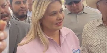 La Columna Hipótesis de Acento Noticias