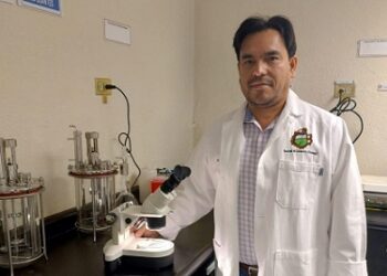 Especialista de la UACH explica los beneficios de la mosca estéril para el combate del gusano barrenador.