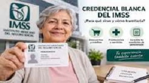 Credencial Blanca del IMSS: ¿Qué es y qué REQUISITOS necesitan los adultos mayores pensionados para tramitarla?