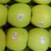 Lidera Chihuahua producción de manzana; aporta 85.7% del país