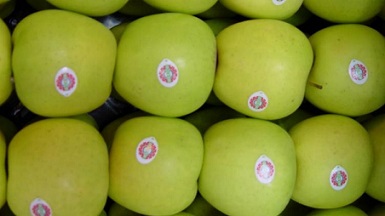 Lidera Chihuahua producción de manzana; aporta 85.7% del país