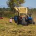 Meoqui cuenta con 36 mil 996 hectáreas sembradas que ponen en alto su vocación agrícola
